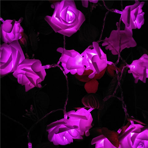 Rose LED String Lights