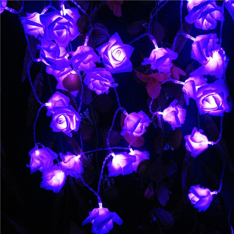 Rose LED String Lights